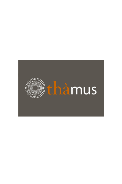 Rete ThaMus